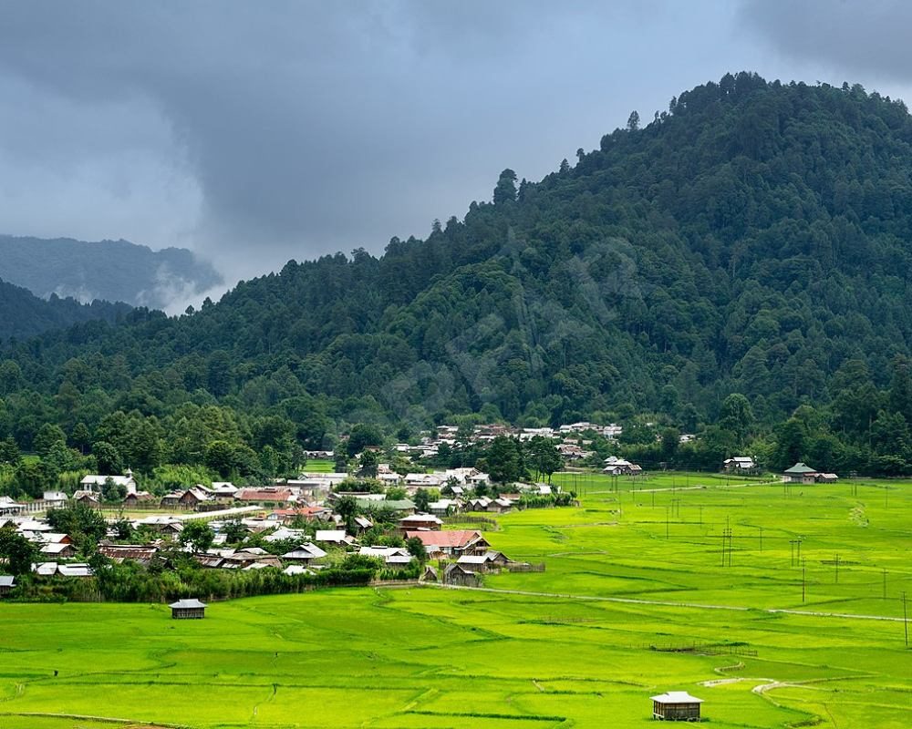 Ziro Valley, Arunachal Pradesh