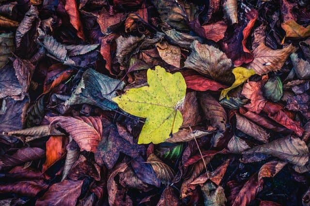 Four Seasons of Fun Things to do for Next to No Money