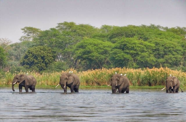 Planning a Multi-Destination African Journey: A Step-by-Step Guide
