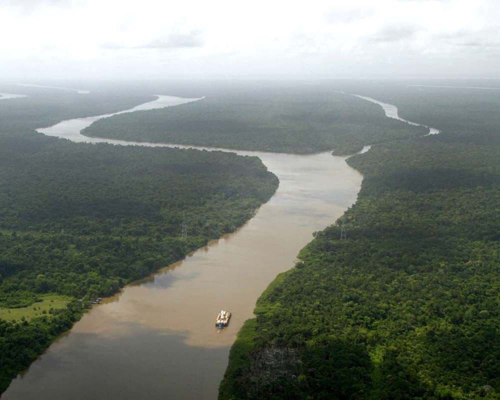 The Amazon
