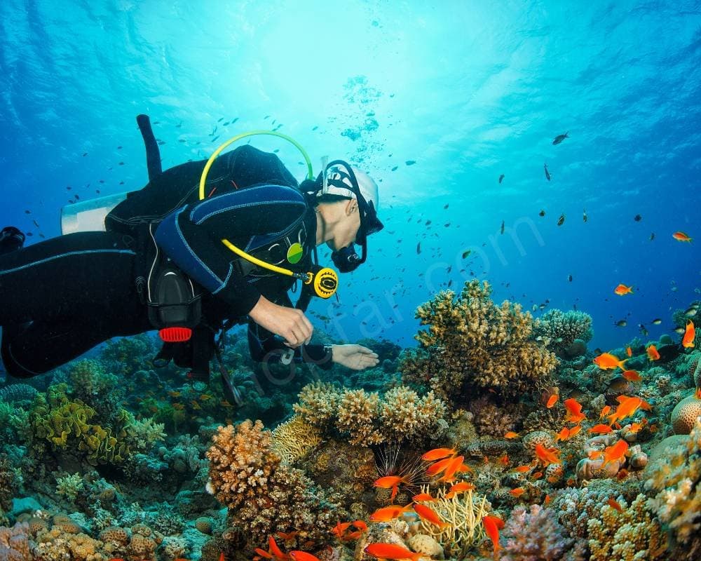 Scuba Diving
