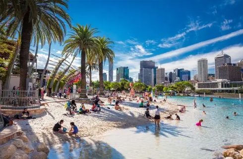 Experience the Best of Brisbane: Must-Do Tours and Activities