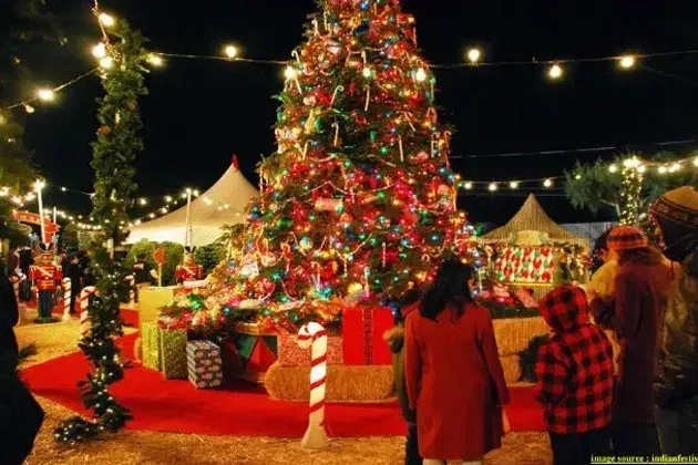Top 5 Places To Visit In India During Christmas Holidays In 2022