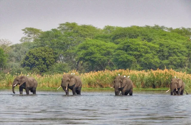 Planning a Multi-Destination African Journey: A Step-by-Step Guide