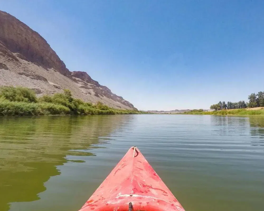 The Intriguing Orange