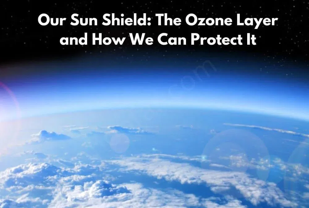 Our Sun Shield: The Ozone Layer and How We Can Protect It