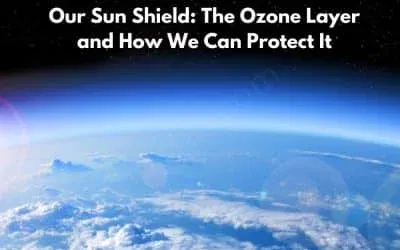 Our Sun Shield: The Ozone Layer and How We Can Protect It